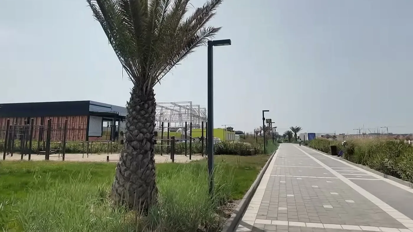 Дорожка вдоль моря с пальмами